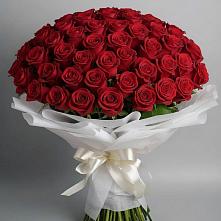 Букет 101 Красная роза Блэк Мэджик в Славянке