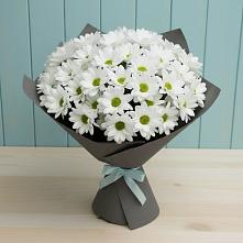 Букет цветов из:  Хризантемы в Славянке