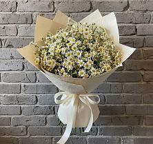 Букет цветов из:  Ромашки в Славянке