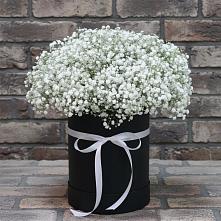 Цветочная композиция из Гипсофила в шляпной коробке в Славянке