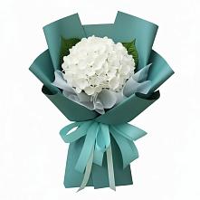 Букет цветов из:  Гортензия в Славянке